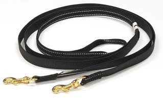 Skijoring leash for two dogs