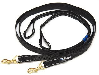 Sled leash for two dogs