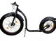 Kickbike FAT MAX with dog equipment
