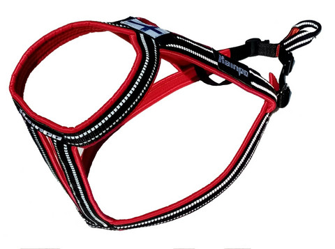 Kainpo Sprint harness