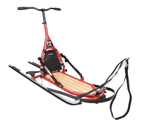 Esla Adventure with dog equipment and double brake
