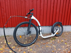 Kickbike Cross FIX, koiravarustein