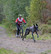 Kickbike Cross FIX with dog equipment