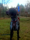 Kainpo Sprint harness