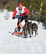 Esla Adventure with dog equipment and double brake