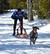 Esla Adventure with dog equipment and double brake