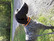Safety collar