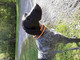 Safety collar