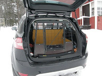 kuga