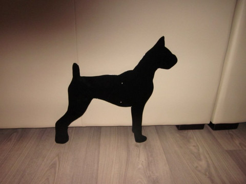 boxer