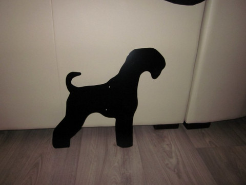 kääpiösnautseri