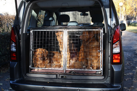 berlingo -13