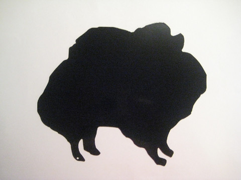 pomerian
