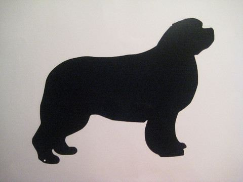 newfoundlandinkoira