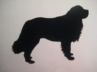 landseer