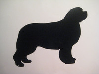 newfoundlandinkoira