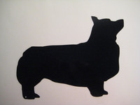 welsh corgi pembroke 1.0