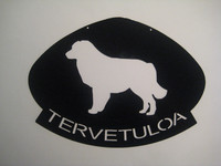 australianpaimenkoira