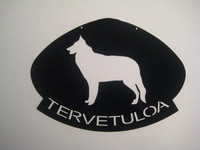 belgianpaimenkoira