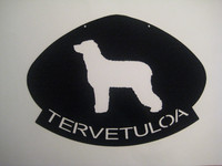 irlanninvesispanieli