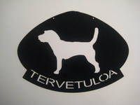 jackrusselinterrieri