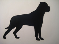 bullmastiffi