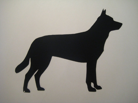 australiankelpie
