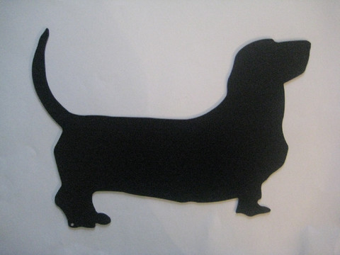 basset hound