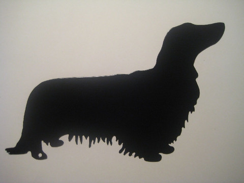 mäyräkoiraPK