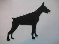 dobermann