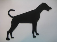 dobermann häntä