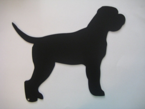 lagotto romagnolo