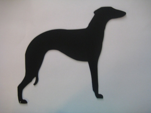 whippet