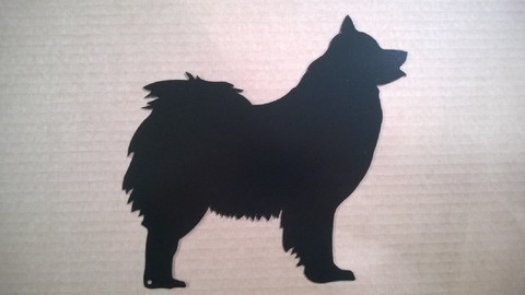 eurasier