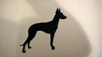 cirneco