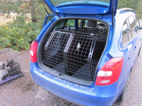fabia compi