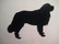 landseer