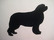newfoundlandinkoira