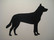 australiankelpie