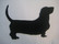 basset hound