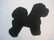 bichon frise