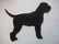 lagotto romagnolo