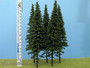 Spruce (Kuusi) with Short Trunk, Korkeus 180-220mm