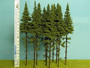 Spruce (Kuusi) with Trunk, Korkeus 180-220mm