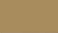 JAPAN MEDIUM BROWN a12 FS*30140