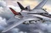 F-14A TOMCAT BLACK KNIGHTS 1/32