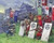 Samurai warriors infantry 1/72