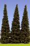 Spruce (kuusi) Korkeus 180-220mm