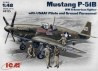 P-51B MUSTANG 1/48