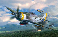 Focke Wulf Fw 190 F-8 1/32